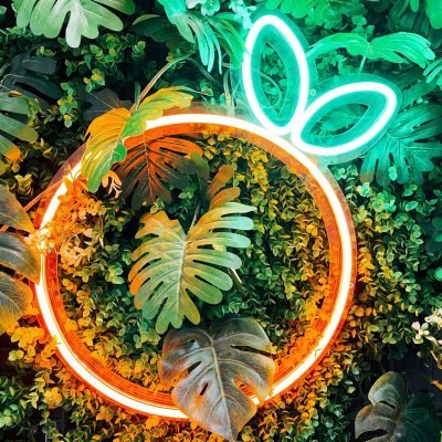 {"DSTS":0,"CLR_HS":0,"FN":"FR2","CLR_H":"","DST":"","FD":0,"VGN":0,"CLR_SHS":0,"GRN":0,"WRM":0,"CNT":0,"SHP":0,"NAME":"","BRG":0,"SAT":0,"CLR_SH":"","SHD":0,"HGH":0,"FS":100}