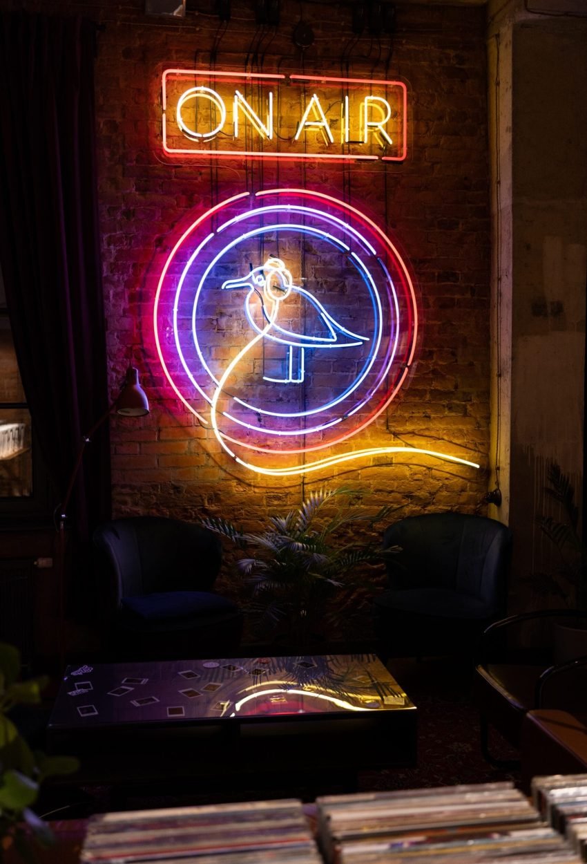 seagull-bird-made-of-neon-colorful-light-on-brick-2023-11-27-05-16-31-utc